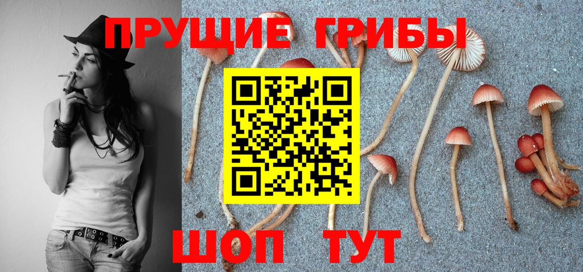Керчь  Псилоцибиновые грибы ЛСД  Псилоцибиновые грибы MAGIC MUSHROOMS  Вход с VPN 